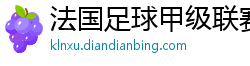 法国足球甲级联赛